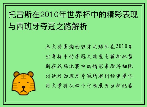 托雷斯在2010年世界杯中的精彩表现与西班牙夺冠之路解析
